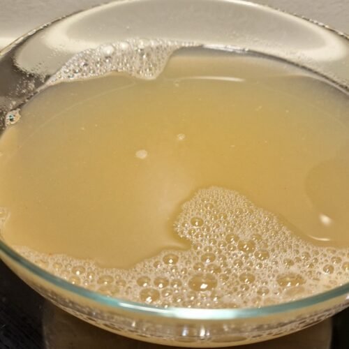 Garnelenfond