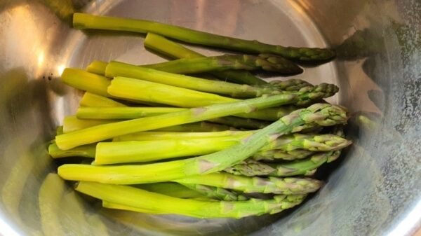 Gekochter spargel 1
