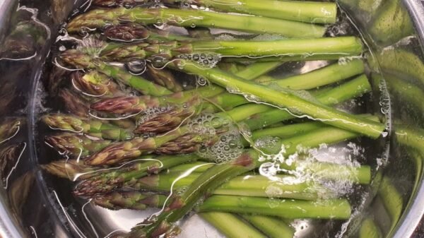Spargel kochen 1