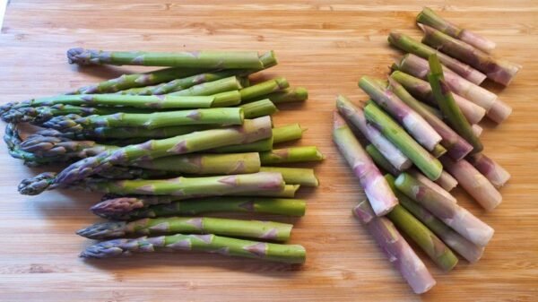 Spargel putzen 1.1