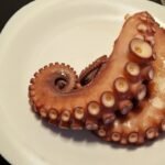 Oktopus kochen gekochter Oktopus