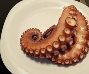 gekochter Oktopus