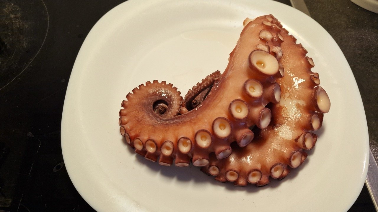 gekochter Oktopus