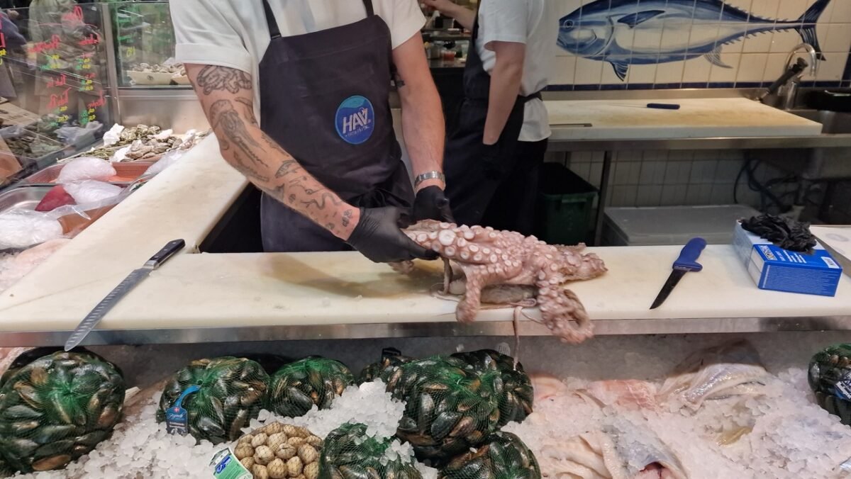 Oktopus kaufen Kopenhagen Torvehallerne